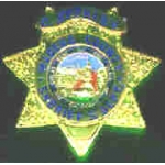 MADERA COUNTY, CA DEPUTY SHERIFF BADGE PIN